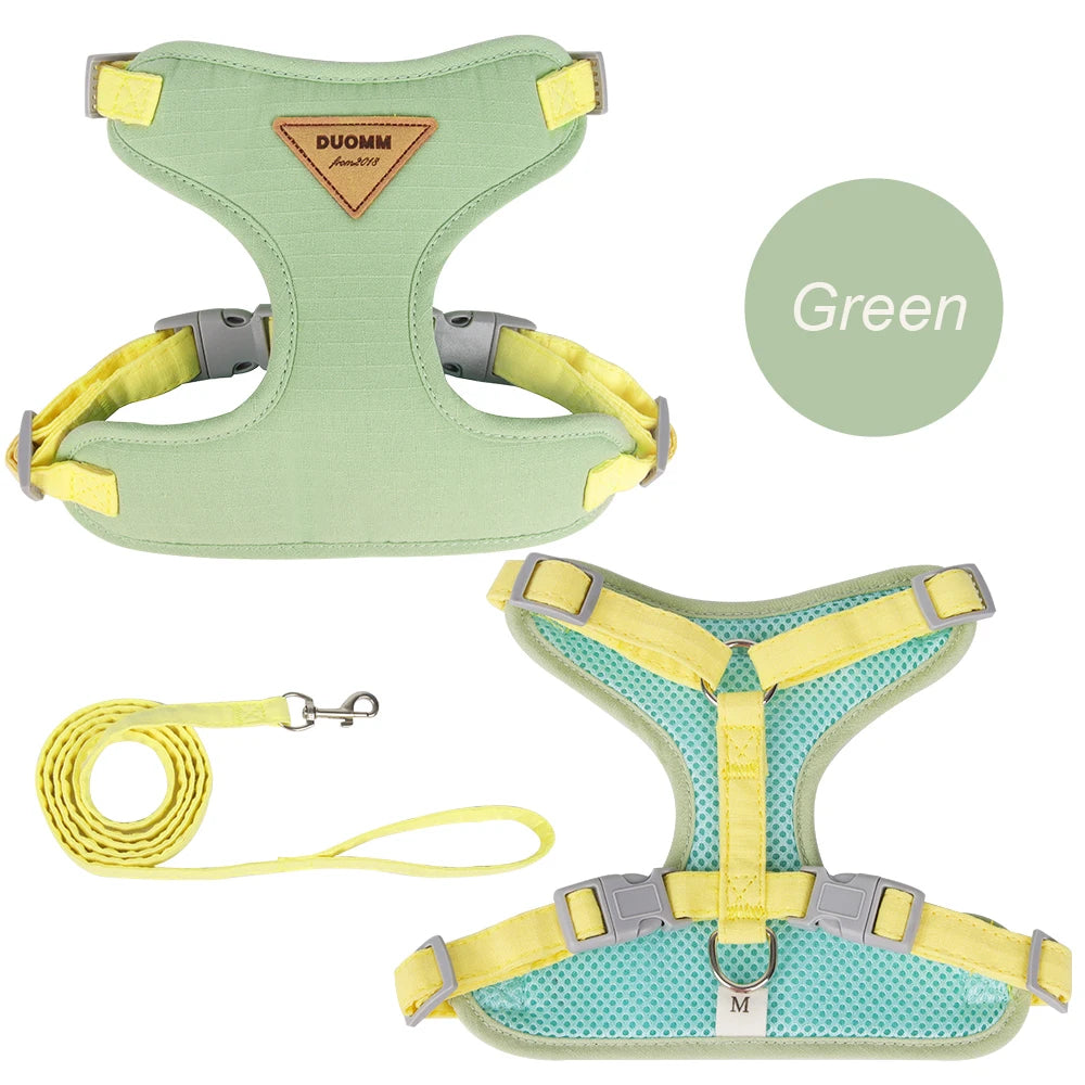 PetChic: Fashion Harness and Leash Set for Small Dogs and Cats