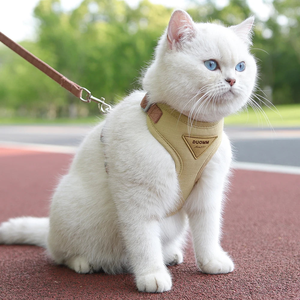 PetChic: Fashion Harness and Leash Set for Small Dogs and Cats