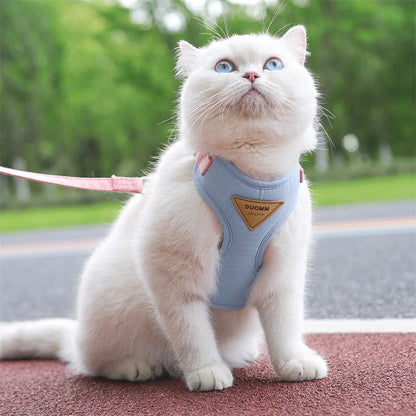 PetChic: Fashion Harness and Leash Set for Small Dogs and Cats