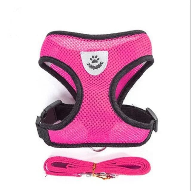 Pawfect Fit Harness