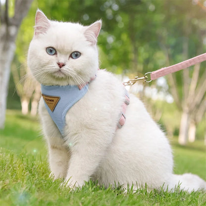 PetChic: Fashion Harness and Leash Set for Small Dogs and Cats