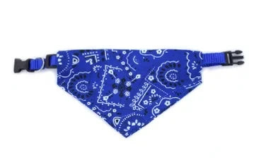 Pawfect Style Bandana