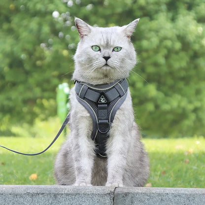 SafePaws: Reflective Escape-Proof Harness & Leash Set