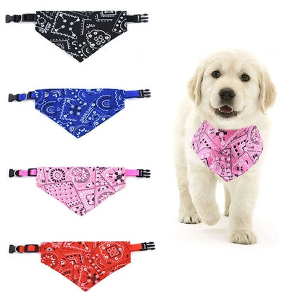 Pawfect Style Bandana