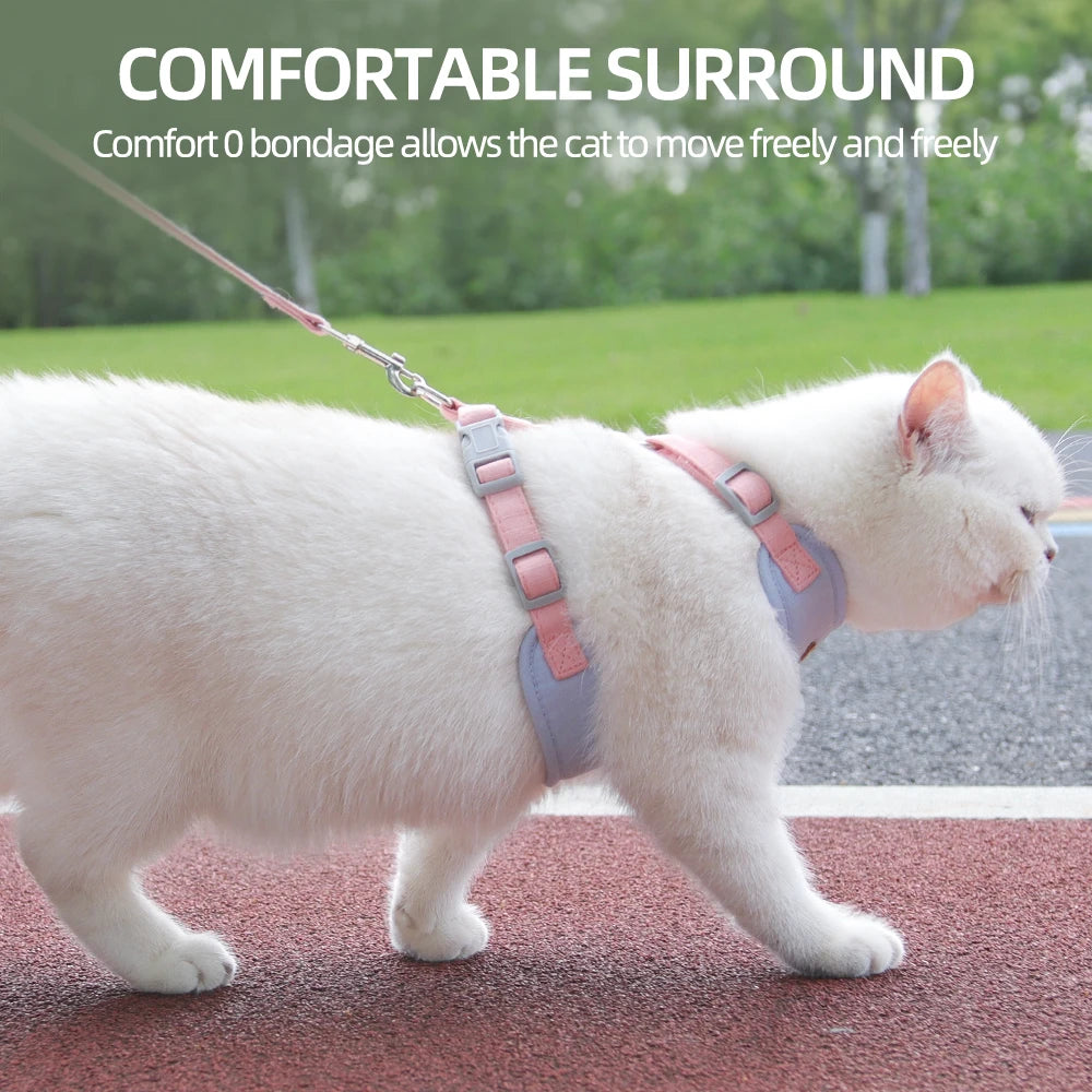 PetChic: Fashion Harness and Leash Set for Small Dogs and Cats